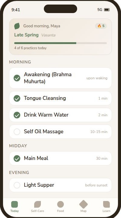 Today screen showing morning, midday, and evening practice blocks with a few items checked off.