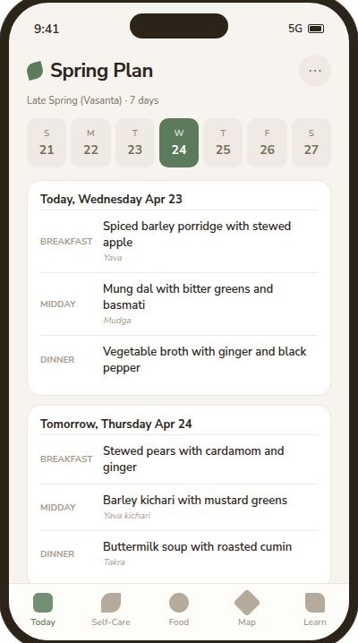 Weekly planner showing seven days with planned meals and shopping day highlighted.